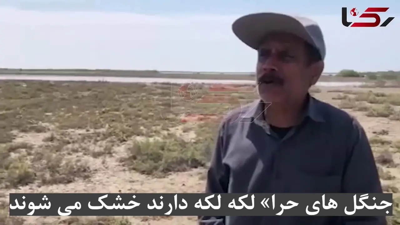 جنگل های حرا لکه لکه دارند خشک می شوند / مرگ تدریجی که از سیریک آغاز شد / علل؛ قاچاق سوخت،صنعت و گردشگری کنترل‌نشده